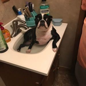 Meet your Posher, Delores polly